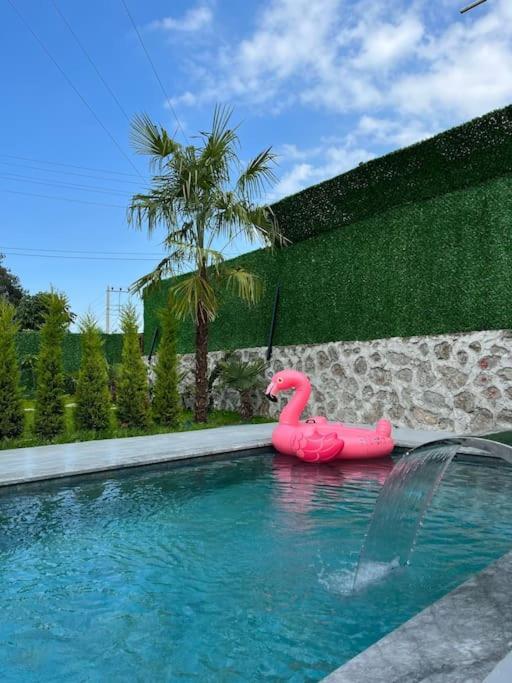 فيلا Shino Sapanca'Da Sicak Havuzlu Tatil Keyfi! المظهر الخارجي الصورة
